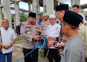 Kapolda Papua Serahkan 44 Ekor Sapi Kurban Jelang Iduladha