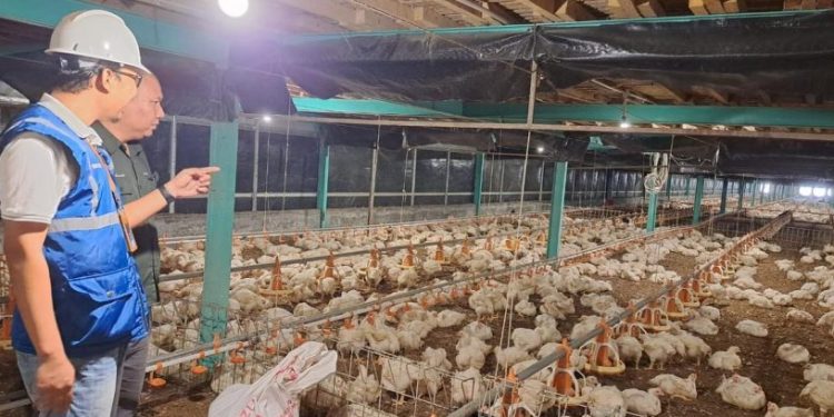 Pemerintah Perhatikan Daya Beli Masyarakat dan Dukung PLN Jaga Mutu Pelayanan