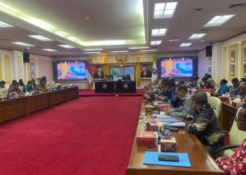 Pemerintah Pusat Beri Waktu Sepekan Pemda di Papua Selesaikan Tunggakan Beasiswa