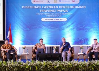 Tingkatkan PAD Papua, Pemda Didorong Manfaatkan Digitalisasi
