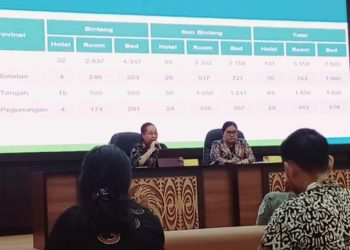Kunjungan Turis Asing ke Papua Terbanyak dari Kawasan Ocenia