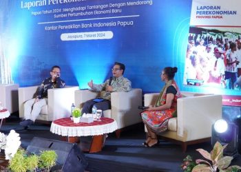 Dampak Investasi di Wilayah Papua, 514 Ribu Orang Terserap Lapangan Kerja