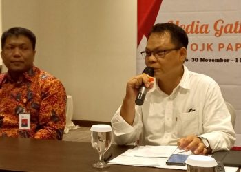 Potensi Kenaikan NPL Setelah Restrukturisasi Kredit Berakhir, Ini Kata OJK Papua