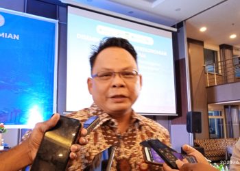 Kredit di Papua Bertumbuh, Disumbang Sektor Perdagangan Besar dan Peralatan Rumah Tangga