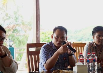 Sektor Konsumsi Dominasi Penyaluran Kredit di Papua