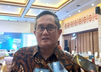 Bank Indonesia Beberkan Tantangan dan Peluang Perekonomian di Wilayah Papua