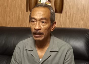 Hiswana Migas Sebut Diuntungkan dengan Terbentuknya DOB di Papua