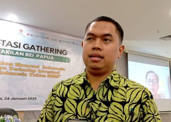 Didominasi Sektor Primer, Peran Papua Penting dalam Pengembangan Program Hilirisasi
