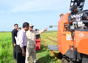 Langkah Nyata Pemerintah Percepat Swasembada Pangan di Merauke