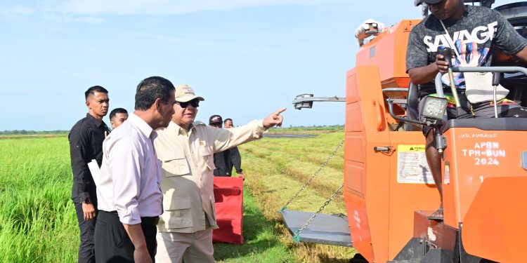 Langkah Nyata Pemerintah Percepat Swasembada Pangan di Merauke