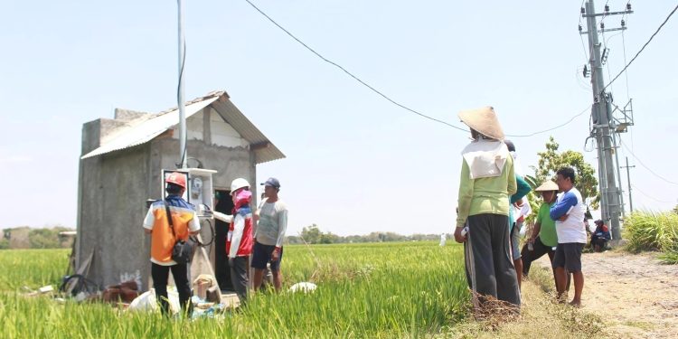 Electrifying Agriculture PLN Raih 53 Ribu Pelanggan Baru Sepanjang 2024