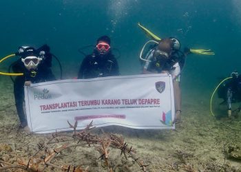 PLN UIP MPA Dukung Pelestarian Lingkungan Laut