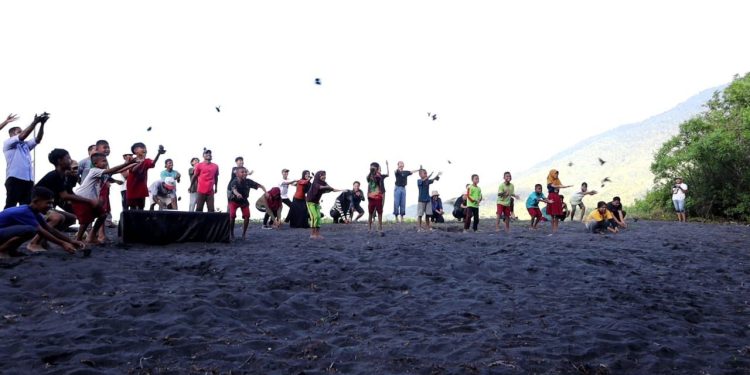 PLN dan Universitas Halmahera Berhasil Lakukan Konservasi Burung Mamoa