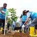 PLN Gandeng Instansi Hingga Masyarakat Lakukan Rehabilitasi Hutan di Papua