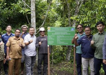 Dukung Keberlanjutan, PLN Siap Rehabilitasi Daerah Aliran Sungai di Halmahera