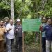 Dukung Keberlanjutan, PLN Siap Rehabilitasi Daerah Aliran Sungai di Halmahera