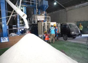 PLN Sukses Dukung Produktivitas 6.167 Petani di 197 Lokasi di Indonesia