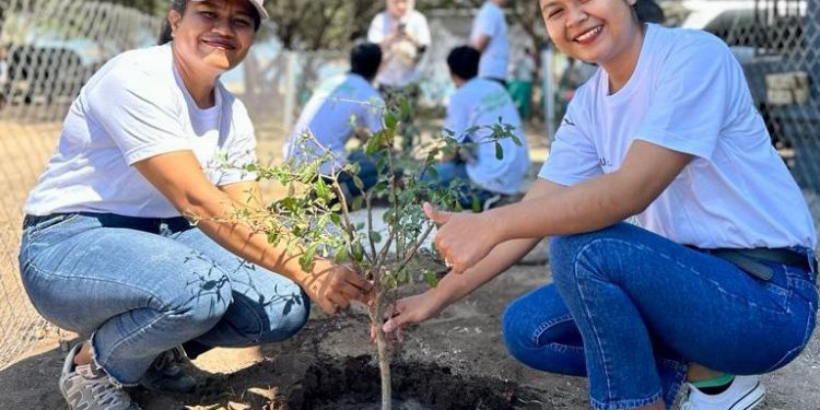 PLN Dukung Gerakan Gotong Royong Boyong Pohon Bersama BUMN