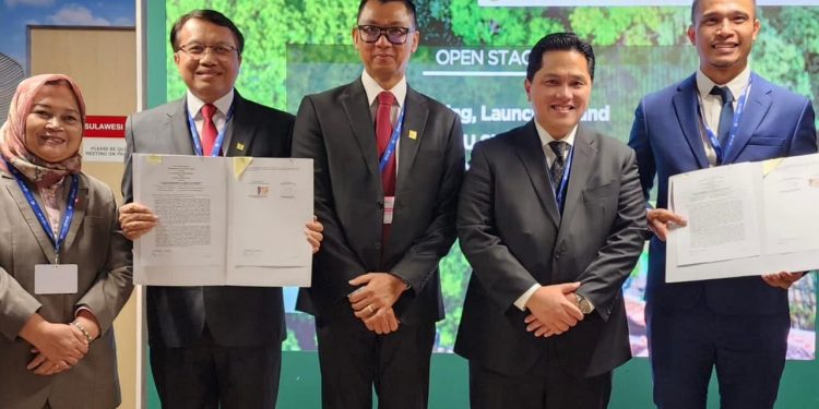 PLN dan Kemenkomarves Kembangkan Biomassa di Tanah Air