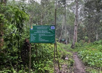 PLN Penuhi Komitmen Jaga Lingkungan