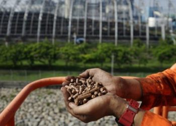 Punya Peta Jalan dan Komitmen Transisi Energi Bawa PLN Raih 3 Penghargaan