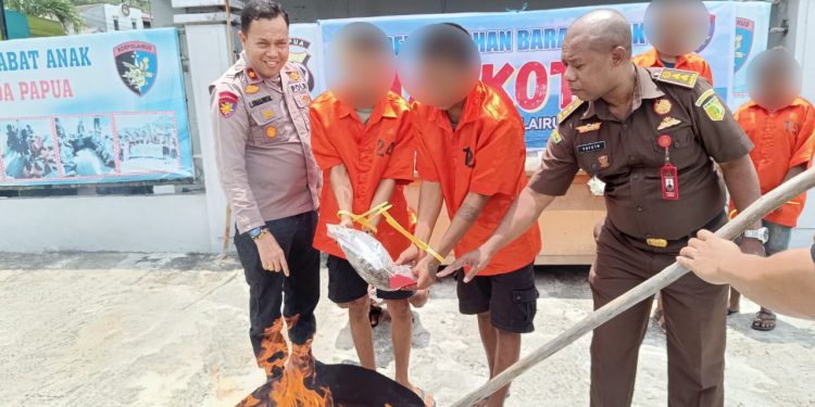 Polda Papua Musnahkan Ganja Seberat 1,3 Kilogram