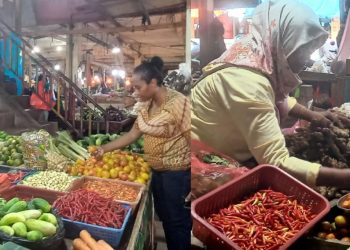 Naik Turun Harga Komoditas Jelang Iduladha