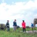 Lestarikan Gajah Sumatra, PLN Sediakan Kendaraan Patroli Hewan
