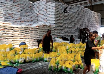 Harga Eceran Tertinggi Beras Naik, Bulog Papua Minta Masyarakat Tak Khawatir