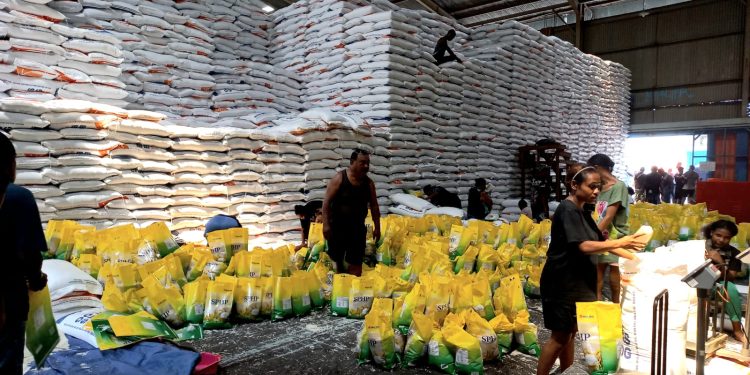 Harga Eceran Tertinggi Beras Naik, Bulog Papua Minta Masyarakat Tak Khawatir