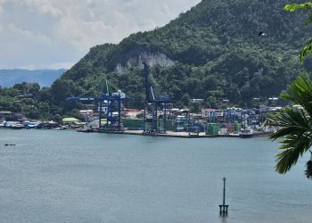 Pelindo Perkuat Peran Pelabuhan dalam Perekonomian Papua