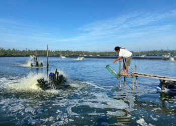 Pelaku Usaha Bisa Hemat Biaya Produksi Hingga 60 Persen Lewat Electrifying Marine PLN