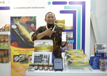 Selama Sepekan, 30 Ribu Pelanggan Manfaatkan Promo Tambah Daya Listrik PLN