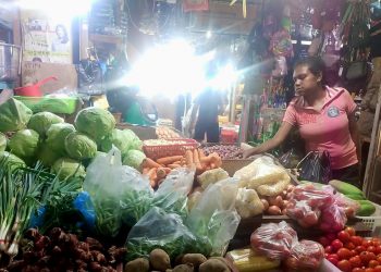Awal Tahun, Harga Sejumlah Komoditas di Jayapura Naik