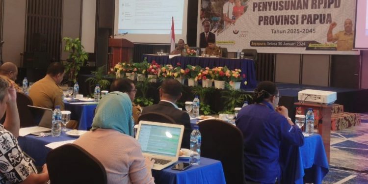 Pemprov Papua Mulai Susun Dokumen Perencanaan untuk 20 Tahun