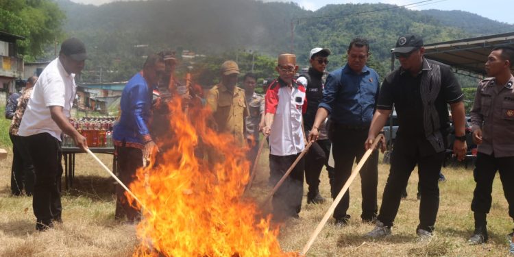 Polresta Jayapura Musnahkan 2,3 Kilogram Ganja dan Miras Hasil Razia