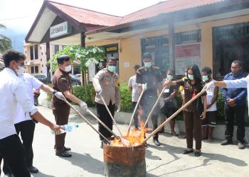 Polres Jayapura Musnahkan 2 Kilogram Ganja Asal PNG
