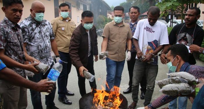 Polres Jayapura Musnahkan 2,7 Kilogram Ganja dan 2.130 Butir Obat Keras Berlogo Y