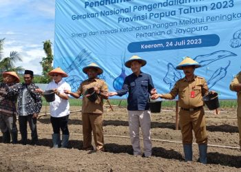 Kendalikan Inflasi Pangan, Bank Indonesia Papua Tanam Bawang Merah Bersama
