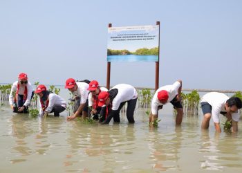 AHM Perkuat Upaya Penyerapan Karbon untuk Mitigasi Perubahan Iklim