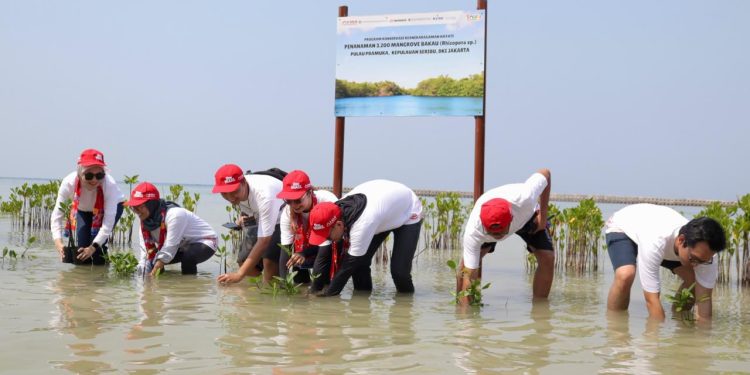 AHM Perkuat Upaya Penyerapan Karbon untuk Mitigasi Perubahan Iklim
