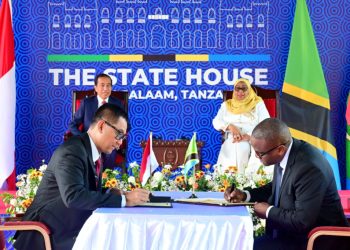 PLN Gandeng TANESCO, Kembangkan Ekosistem Ketenagalistrikan di Tanzania