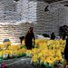 Bulog Optimalkan Penyerapan Beras Merauke