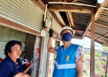 PLN Sukses Tambah Pelanggan, Terbanyak dari Golongan Rumah Tangga