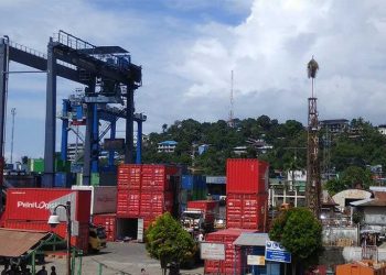 Arus Muat Barang di 2 Pelabuhan di Papua Turun 6,96 Persen, Ini Sebabnya