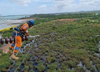 PLN Catat Penurunan Durasi dan Frekuensi Gangguan di 2024