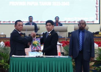 Ini Sebab APBD 2025 Papua Turun Rp538 Miliar