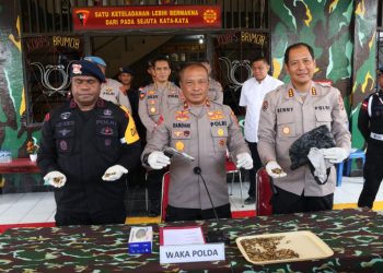 Polda Papua Ungkap Penemuan Senpi Buatan Jerman Beserta 171 Butir Amunisi