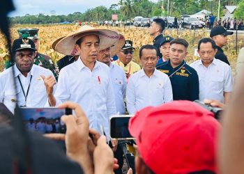 Hari Ketiga di Papua, Agenda Presiden Jokowi Bertemu Pelajar Hingga Berkunjung ke Agro Ecotourism