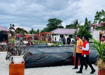 Presiden Jokowi :  Waibu Agro Eduwisata Tampung Kreativitas Anak Muda Papua